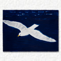 Flight VI